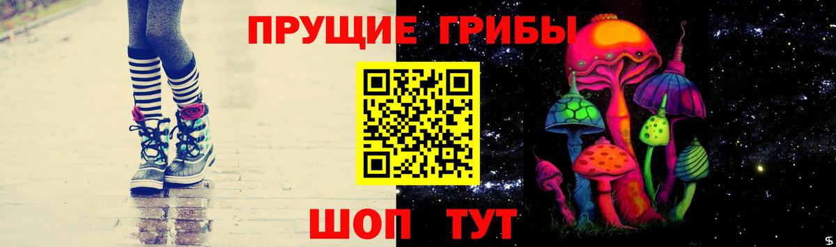 Галлюциногенные грибы Cubensis  Вход с VPN  Вольск  Галлюциногенные грибы Cubensis 